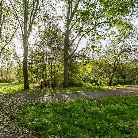 Holiday 't Groene Hart Holiday home *